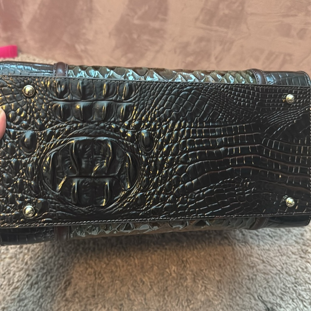 Brahmin Caroline in Hunter Amaya - Picture 5 of 5